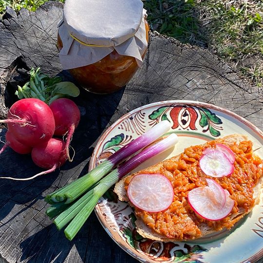 Mushrooms zacusca in a jar